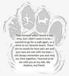 a dog paw with the words that moment when i knew it was time, but didn't want to be