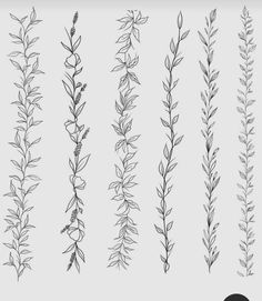 the different types of plants are shown in black and white