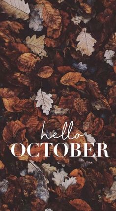 the words hello october are surrounded by leaves and fallen on the ground in white lettering