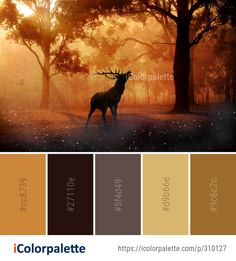 an image of a deer in the woods at sunset with color palettes below it