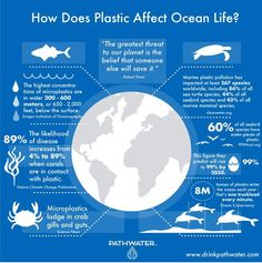 how does plastic effect ocean life? info from the department of oceans and marine conservation