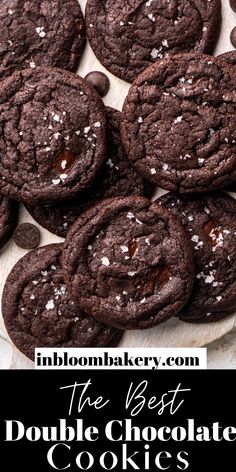 the best double chocolate cookies ever