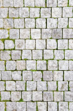 a brick sidewalk with grass growing on it