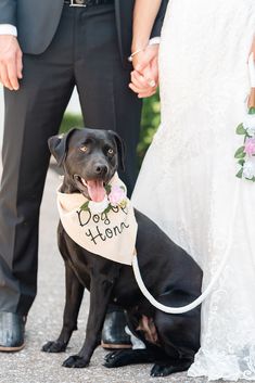 a black dog wearing a bandana standing next to a bride and groom holding hands