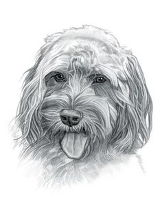 a drawing of a dog with its tongue out