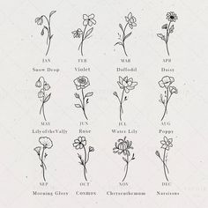 the different types of flowers are shown in black and white on a sheet of paper