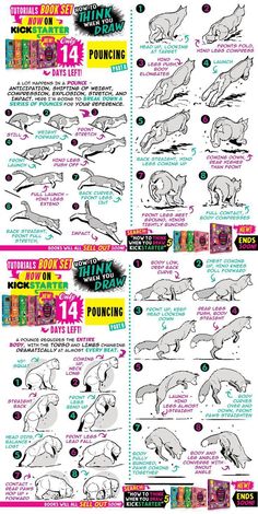 how to draw an animal's body and feet in the style of cartoon art