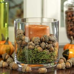 a glass vase filled with lots of different types of plants and mushrooms on top of a table