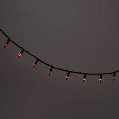 These adorable 100-Count Incandescent Smooth Mini Christmas String Lights from Wondershop™ make a fun and festive addition to your indoor or outdoor holiday decor. Featuring 100 incandescent lights in miniature bulbs, this string light strand measures 21.12 feet in total length and requires an electric power source. They're strung on wires that'll blend effortlessly into your Christmas tree or other plants so only the lights show, and they come with a 1-year limited warranty so you don't have to Incandescent Christmas Lights, Red Light Bulbs, Orange String Lights, Mini String Lights, Bulbs Indoor, Target Gifts, Led Fairy Lights, Christmas String Lights, Green Theme