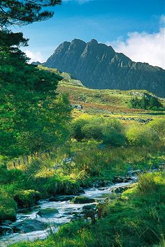 a stream running through a lush green field next to a tall mountain covered in clouds