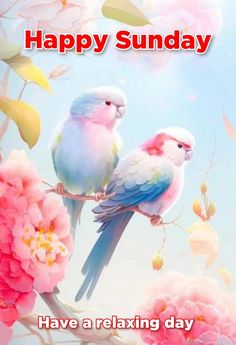 two colorful birds sitting on top of a tree branch next to pink flowers and the words happy sunday have a relaxing day