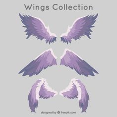 three purple and white wings with the words wings collection written below them on a gray background