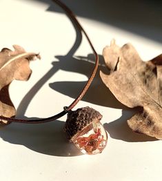 real oak acorn shell and resin necklace, nature jewel.  The oak symbolizes strength, power and longevity. It is also a link between heaven and earth. Its fruits, the acorns are the symbol of the latent strength of the tree.  This necklace is made of a natural oak acorn shell and an acorn made of resin in which I incorporated pieces of oak leaves as well as copper foil to give it an autumnal color and beautiful coppery reflections.  Each piece of jewelry is handcrafted and is therefore unique, like the elements of nature embedded in it. Wearing one of these jewels is to immortalize a bit of nature and keep it with you.  * DESCRIPTION:  o Model: real oak acorn shell and resin necklace  o Dimension: 45cm length cord + 5cm extension chain.  o Materials:     - resin     - nylon cord     - brass Acorn Resin Necklace, Spiritual Necklace With Natural Inclusions Adjustable, Brown Pendant Jewelry With Natural Inclusions, Natural Spiritual Jewelry As A Gift, Adjustable Jewelry With Natural Variations As Gift, Nature-inspired Jewelry As A Gift With Natural Variations, Brown Necklace With Natural Variations For Gifts, Nature-inspired Amber Pendant Necklace, Spiritual Natural Color Necklaces As Gift