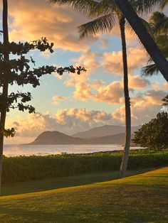 the sun is setting behind two palm trees on the grass by the ocean with mountains in the distance