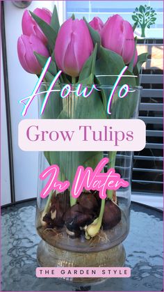 This pin shows a large vase full of tulips growing in water. Tulip bulbs are full of roots growing inside the water. The text of this pin invites you to learn How To Grow Tulips in Water by reading a gardening guide in the website The Garden Style.com.. This pin contains a link to the gardening guide. Grow Tulips In Vase, Tulips In Water Vase, Growing Tulips In Water, Growing Bulbs In Water Glass Vase, Tulip Bulbs In A Vase, Tulip Bulbs How To Save, Forcing Tulip Bulbs Indoors, Tulip Bulbs In Water