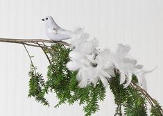 a white bird sitting on top of a tree branch