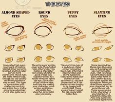 how to draw the eyes step by step instructions for beginners and advanced drawing enthusiasts