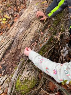 two young children standing next to a fallen tree in the woods on a fall day