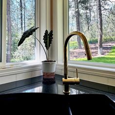 a kitchen sink sitting under a window next to a potted plant on top of a counter