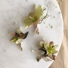 three flowers are placed on a marble table