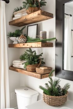 two wooden shelves filled with plants and pine cones on top of a white toilet in a bathroom