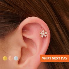 16G Dainty Flower Cartilage Stud Earrings Tragus Stud Flower Conch Earring Cartilage Helix Stud Flat Back Labret Stud Flower Ear Piercings *All Orders Ship the Next Business Day* *You can purchase them individually or as pairs, with both choices available in the dropdown menu.* Elevate your everyday style with these dainty flower stud earrings, crafted for those who cherish timeless beauty. They are perfect for adding a touch of charm to any ensemble. Whether for yourself or a loved one, they ma Flower Cartilage Earrings For Pierced Ears As Gift, Flower Shaped Cartilage Earrings For Gift, Gift Flower Cartilage Earrings, Cartilage Stud Earrings, Earring Cartilage, Tragus Stud, Cartilage Earrings Stud, Cartilage Stud, Labret Studs