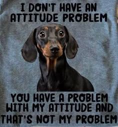 Mini Doxie, Attitude Problem, Dog Quotes Love, My Attitude, Dog Mom Tee, Weiners, Funny Dachshund, Funny Animal Jokes