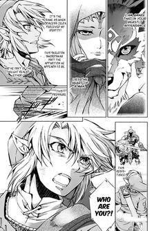 Zelda Manga Panels, Panel Tattoos, Manga Wall, Link Zelda, Zelda Art, Twilight Princess, Manga Panels