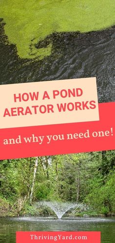 a pond with the words how a pond aerator works and why you need one