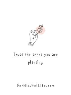 a hand holding a plant with the words trust the seeds you are planting