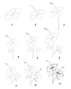 an image of flowers that are drawn in pencil