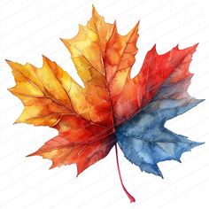 a watercolor painting of a leaf with red, yellow and blue leaves on it