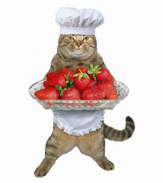 a cat wearing a chef's hat and holding a platter of strawberries