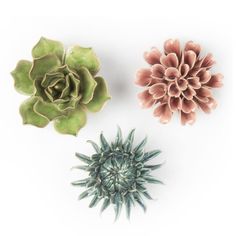 PRICES MAY VARY. Stunning Ceramic Flowers — Our 'Coral' faux ceramic flower & succulent collection is entirely handmade, and that is reflected in each piece’s exquisite detail; Each one is a little work of art that is completely unique, and will blend beautifully into any home, from modern minimalist and boho chic to country traditional Inspired by Nature — Chive's fresh, new-school designs are original, dynamic and committed to showcasing the very best in nature-inspired style; Each of our prod 3d Wall Art Sculpture, Flowers Unique, Living Room Ornaments, Ceramic Succulent, Ceramic Flower, Creative Living, Teal And Pink, Wall Sculpture Art, Flower Wall Decor