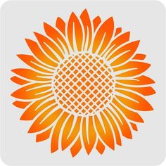 an orange and white sunflower on a light gray background with the words, `