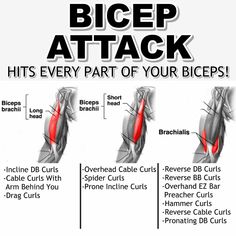 the diagram shows how to get rid from bigger butts and lower butts in order to gain weight