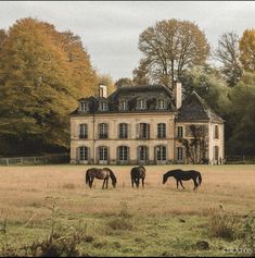 four horses graze in front of a large, two story house on a farm