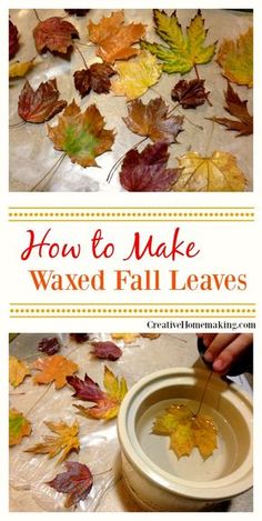 how to make waxed fall leaves