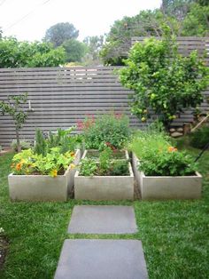 an outdoor garden with several different types of flowers and plants in the planter boxes