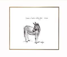 a black and white drawing of a donkey with the words contempl & hump in