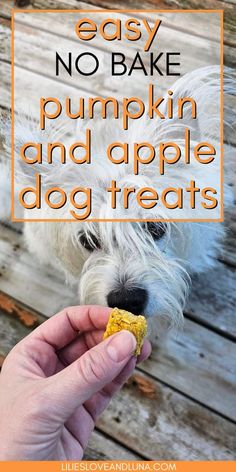 a person feeding a dog some food with the words easy no bake pumpkin and apple dog treats