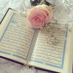 an open book sitting on top of a table next to a pink rose and flowers