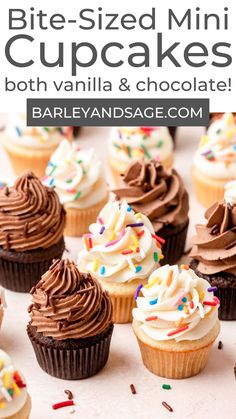 chocolate cupcakes with white frosting and sprinkles are on a table