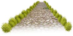 an image of a stone road with grass growing on it