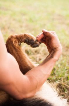 a man is petting a small dog in the grass with his paw on it's face