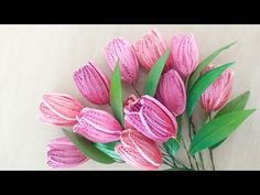 pink flowers with green leaves on a white surface