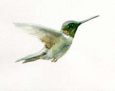 a small card with a hummingbird painting on it