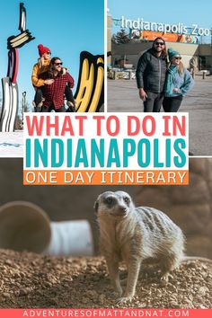 the cover of what to do in indianapolis one day itinery with pictures of people and animals