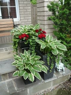 two potted plants sitting on the side of a house