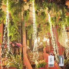 the lights are hanging down from the ceiling in the room with plants and other decorations